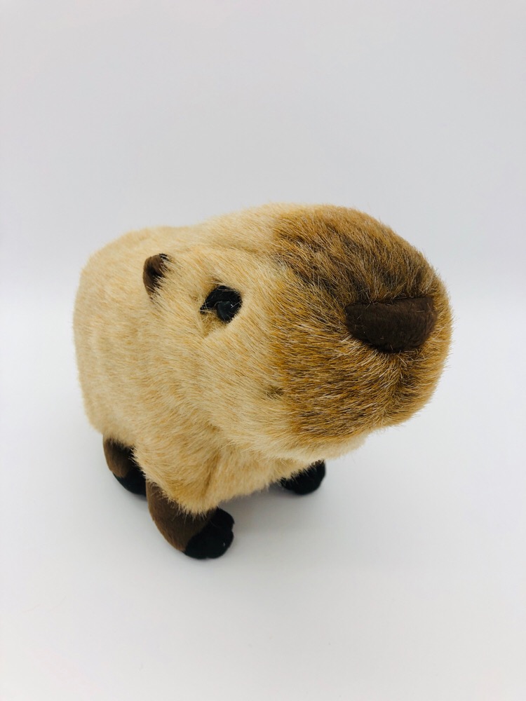 capybara doll